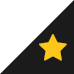 Rating Icon